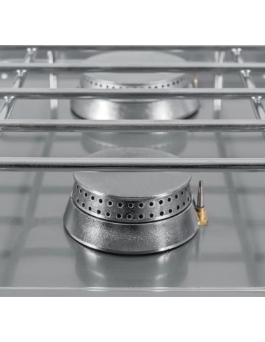 Cocina Industrial Gas 4 Fuegos Con Horno...