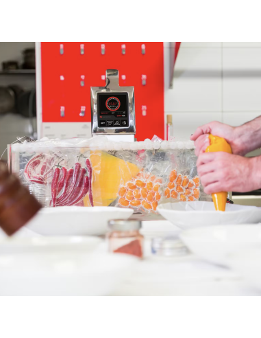 Cocedor sous-vide profesional para 56 litros...