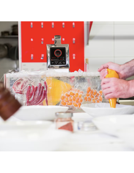 Cocedor sous-vide profesional para 56 litros mod. SmartVide 9